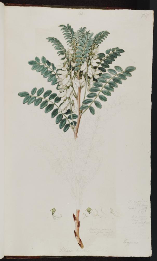 no HD illustration available (3)