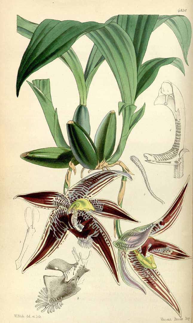 no HD illustration available (3)