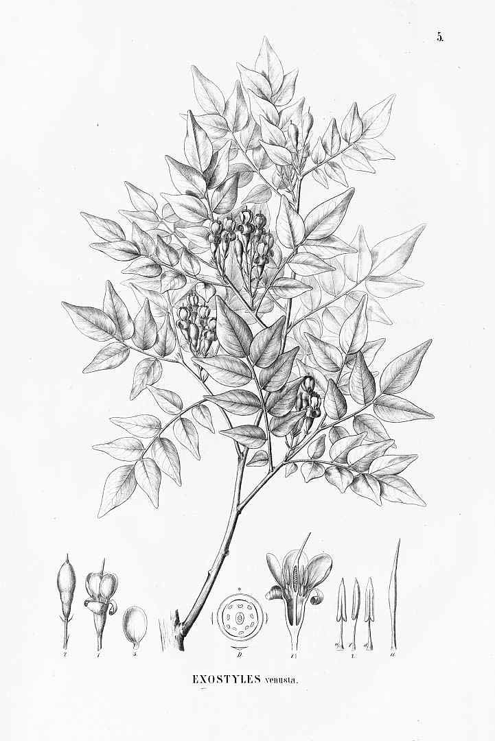 no HD illustration available (3)