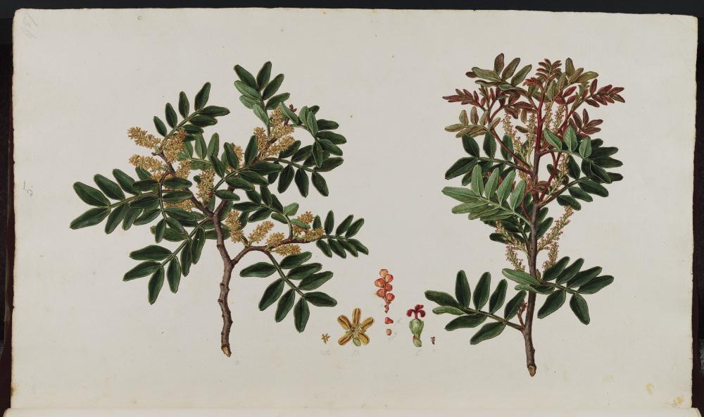 no HD illustration available (3)