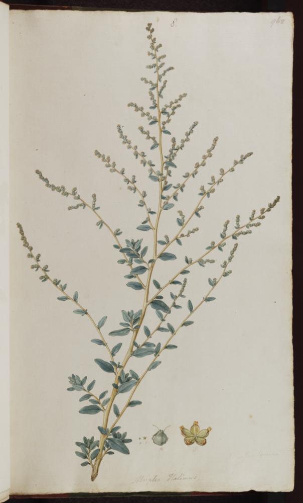 no HD illustration available (3)