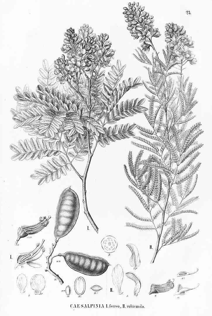 no HD illustration available (3)