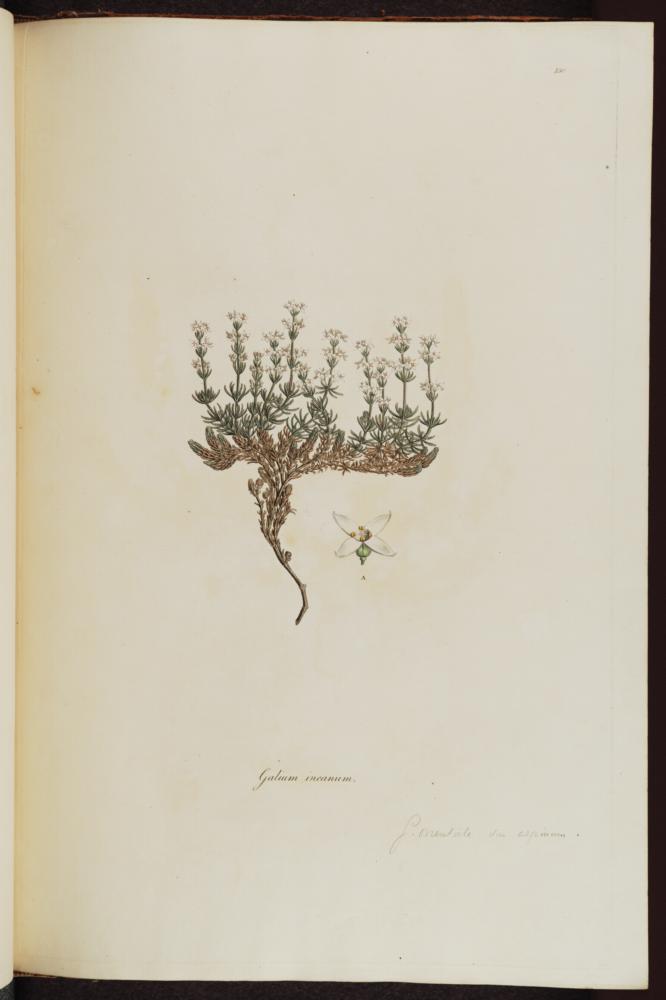 no HD illustration available (3)