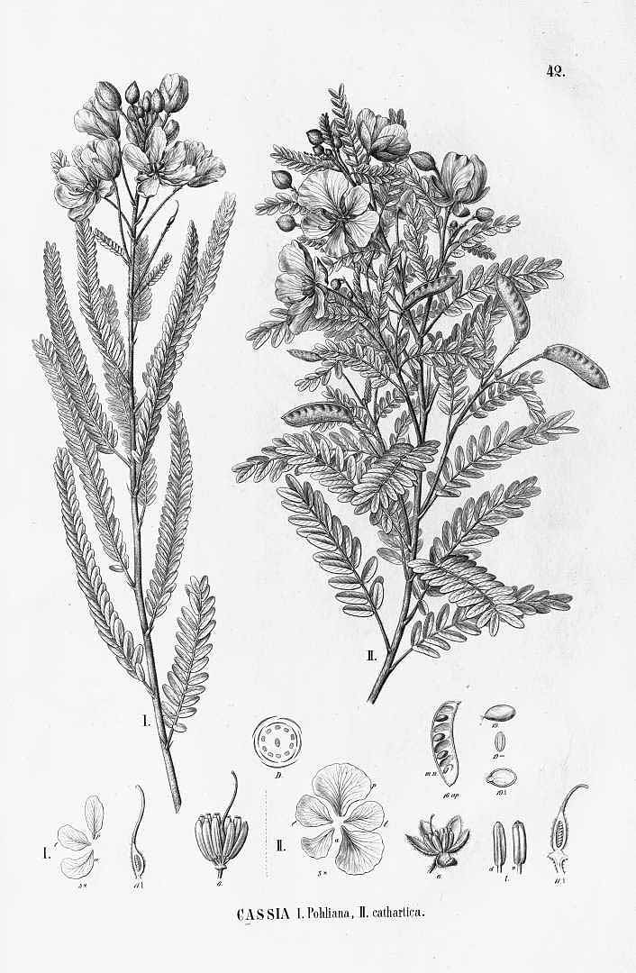 no HD illustration available (3)