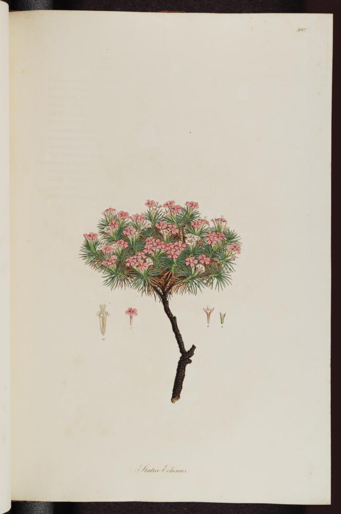 no HD illustration available (3)