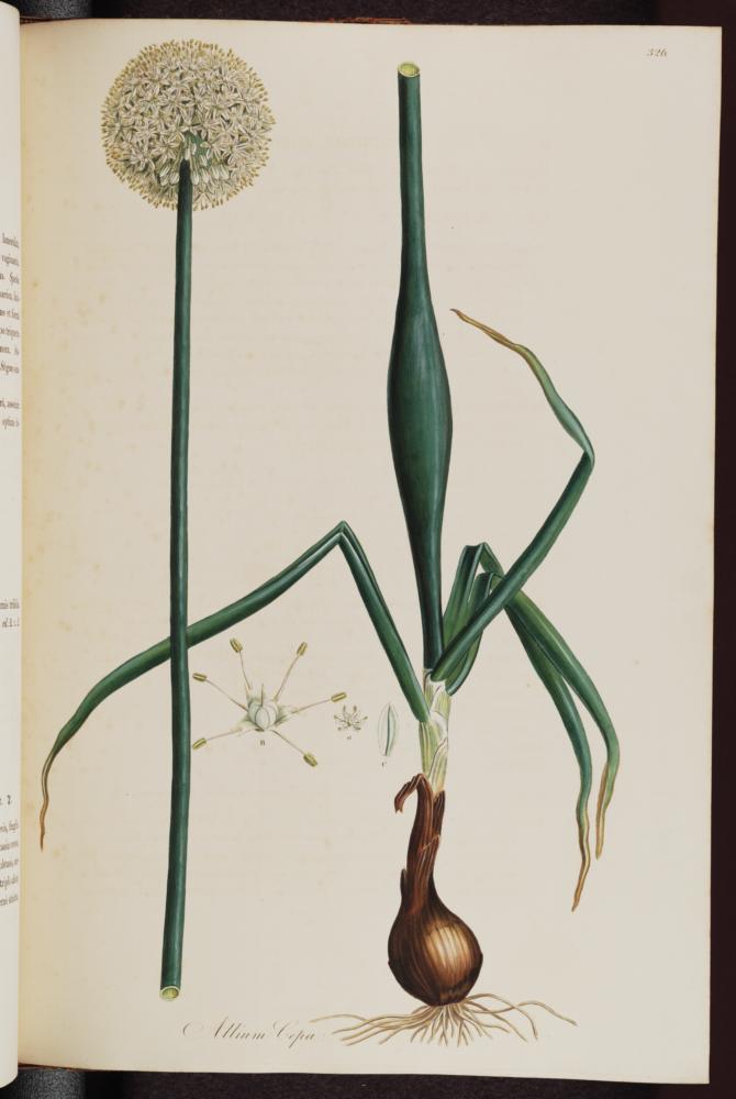 no HD illustration available (3)