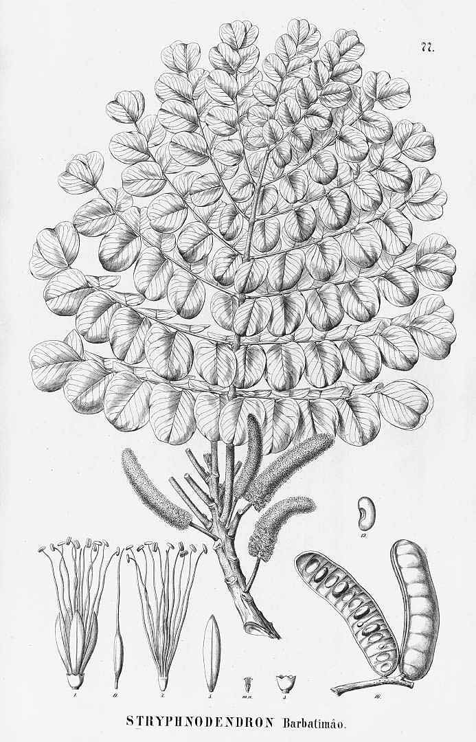 no HD illustration available (3)