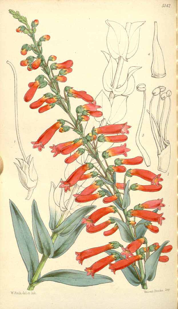 no HD illustration available (3)