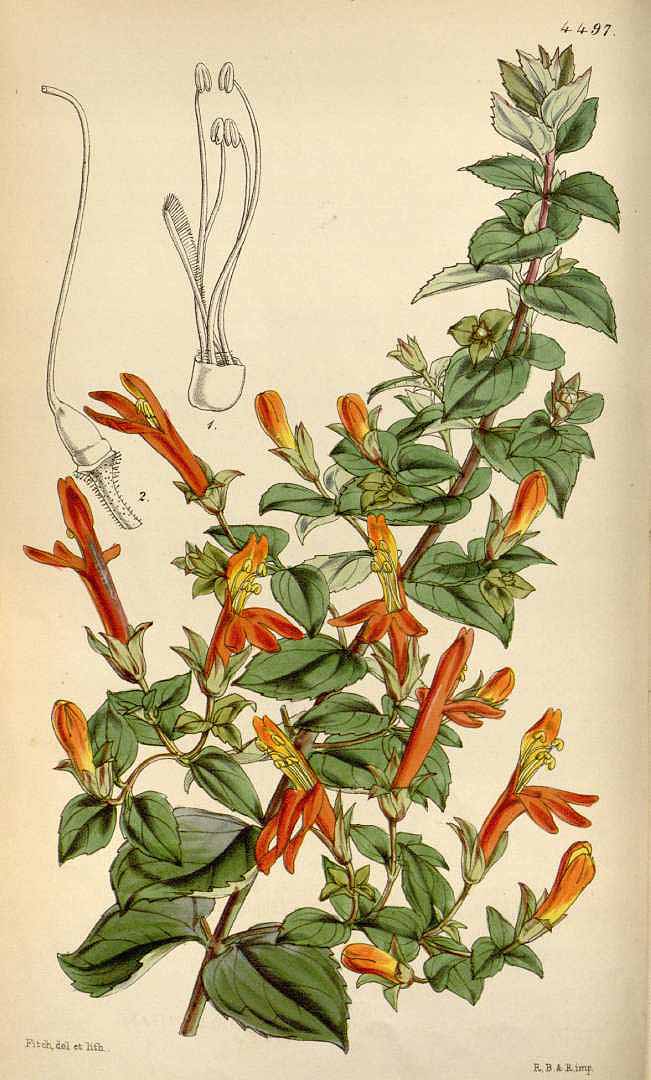 no HD illustration available (3)