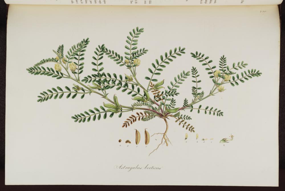 no HD illustration available (3)