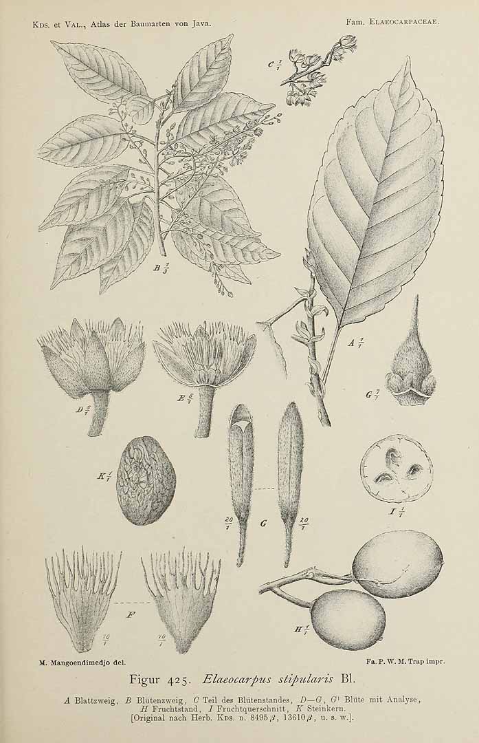 no HD illustration available (3)