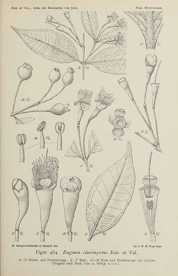 no HD illustration available (3)