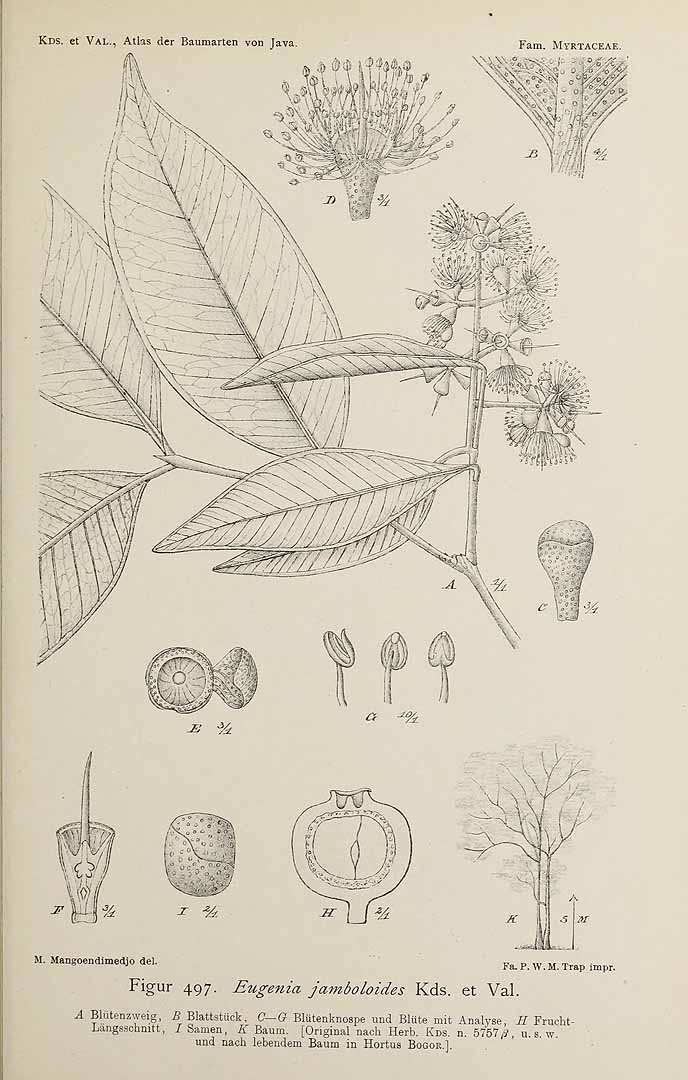 no HD illustration available (3)