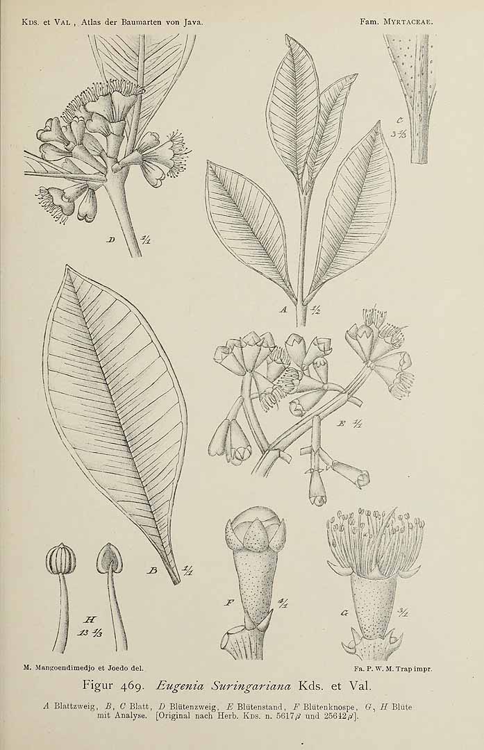 no HD illustration available (3)