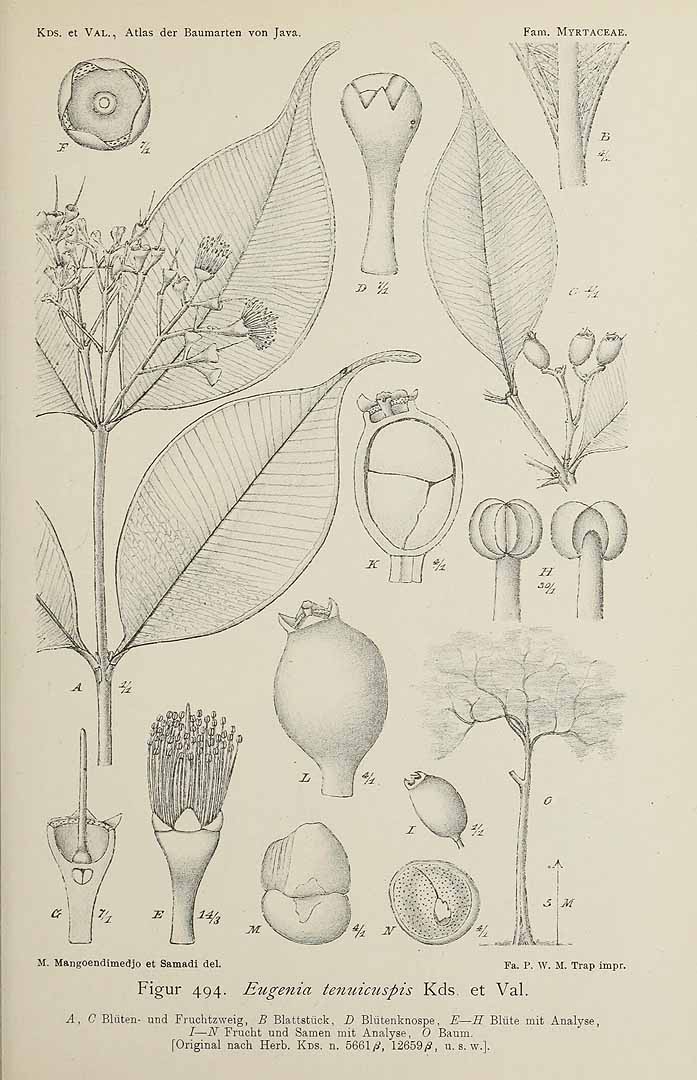 no HD illustration available (3)