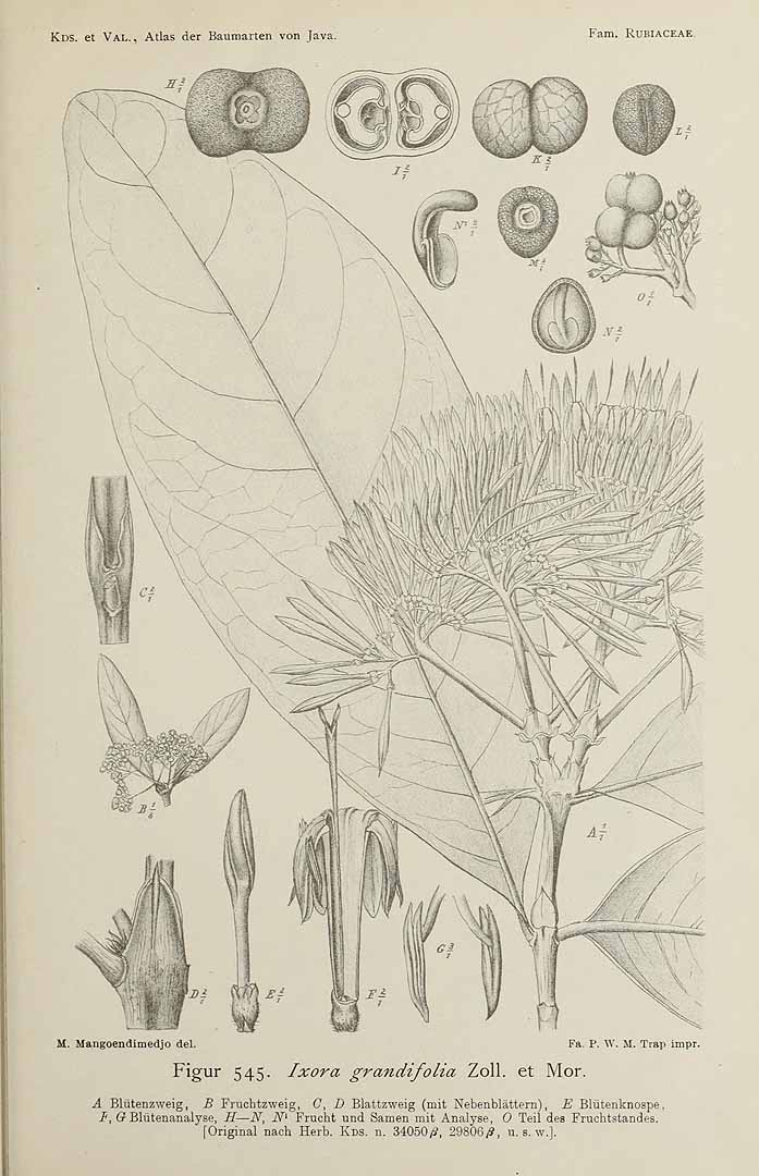 no HD illustration available (3)