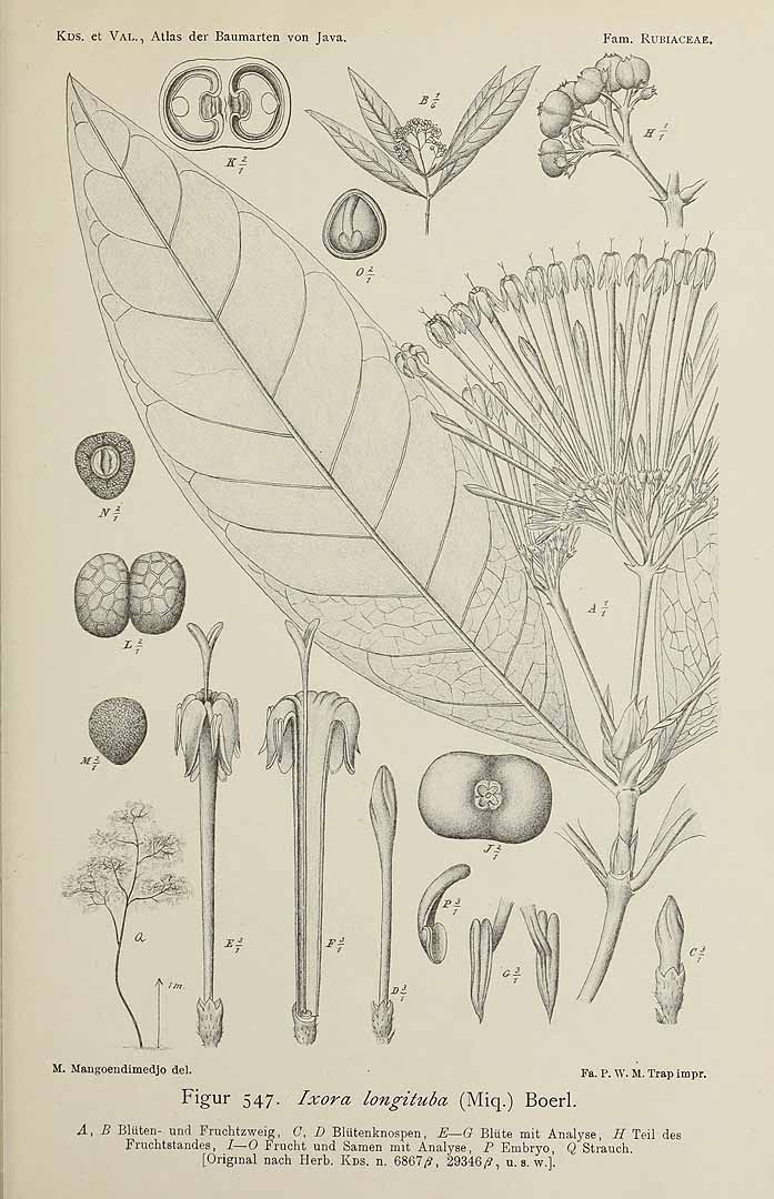 no HD illustration available (3)