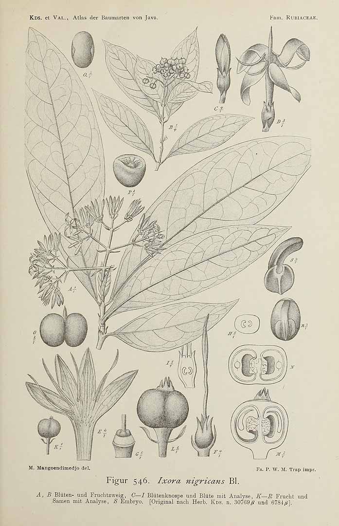 no HD illustration available (3)