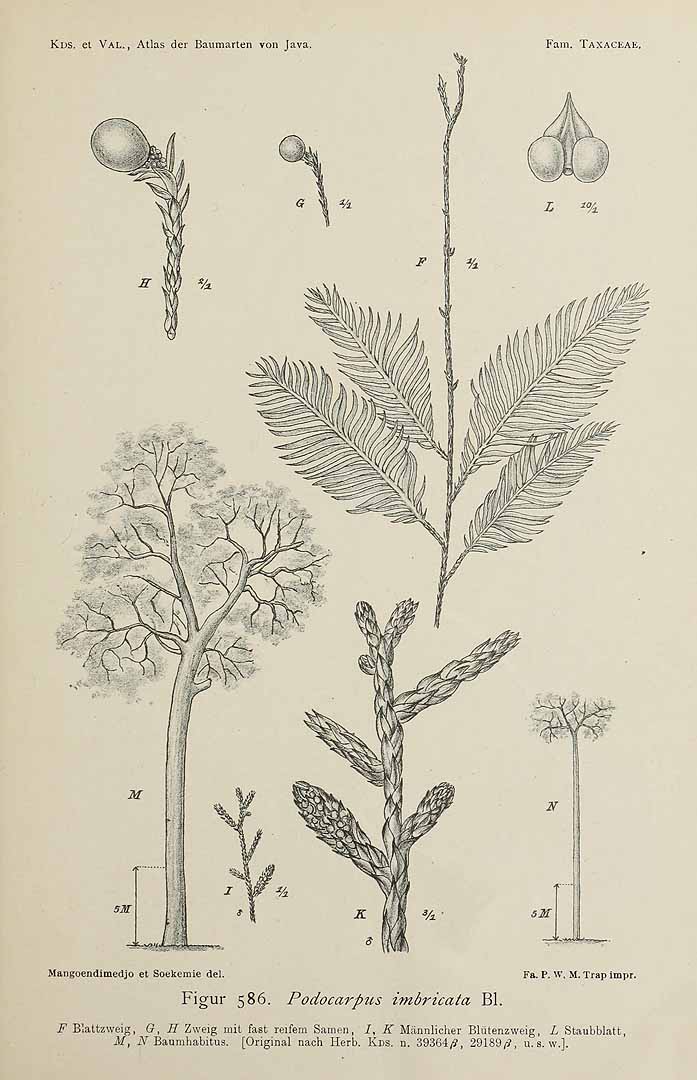 no HD illustration available (3)