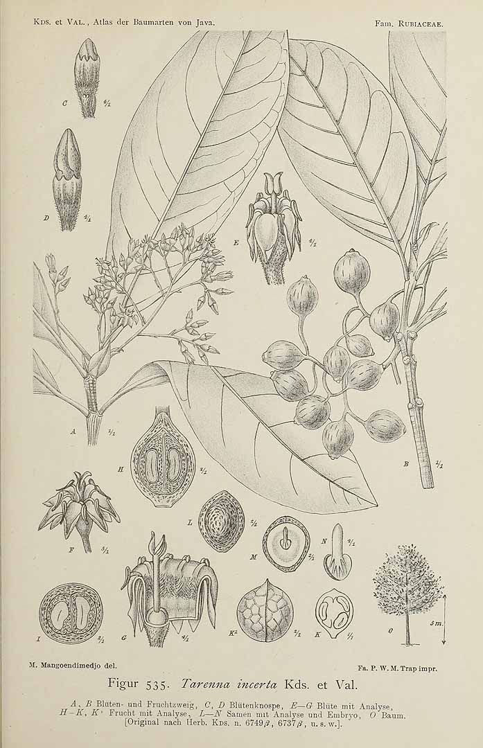 no HD illustration available (3)