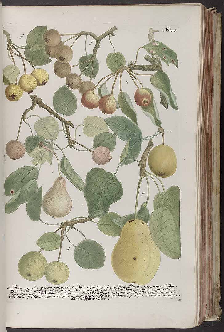 no HD illustration available (3)