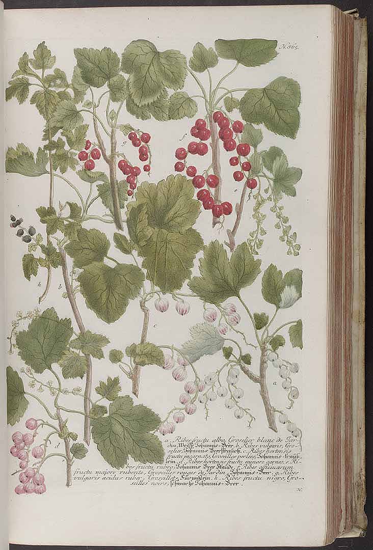 no HD illustration available (3)