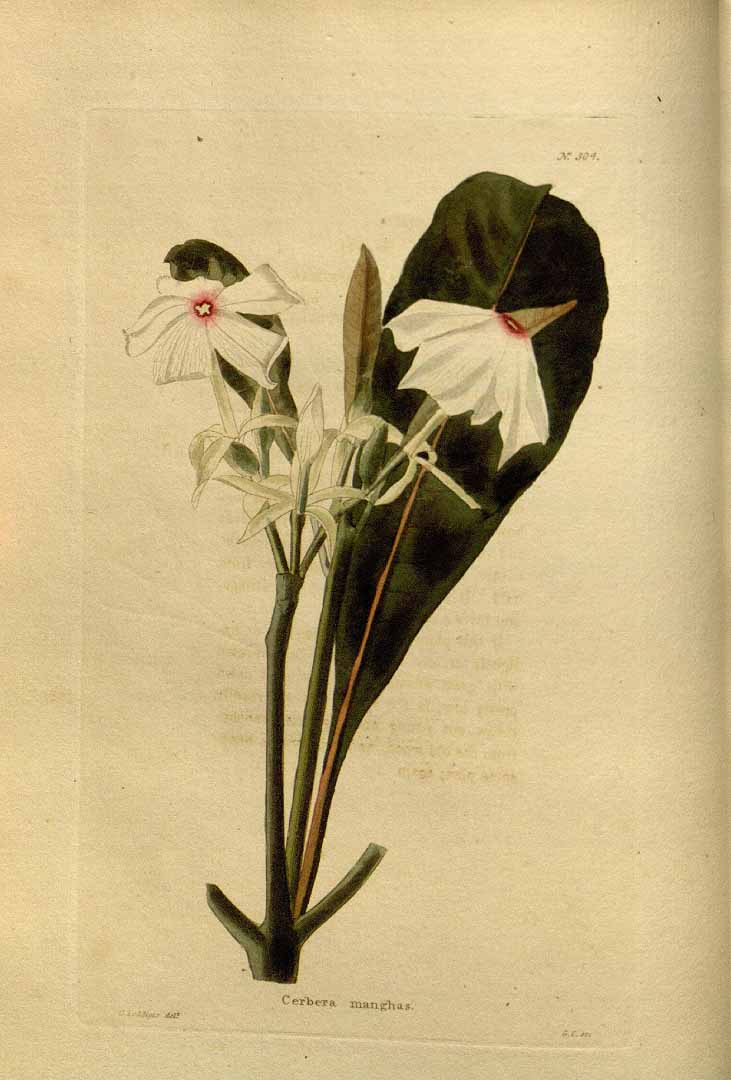 no HD illustration available (3)