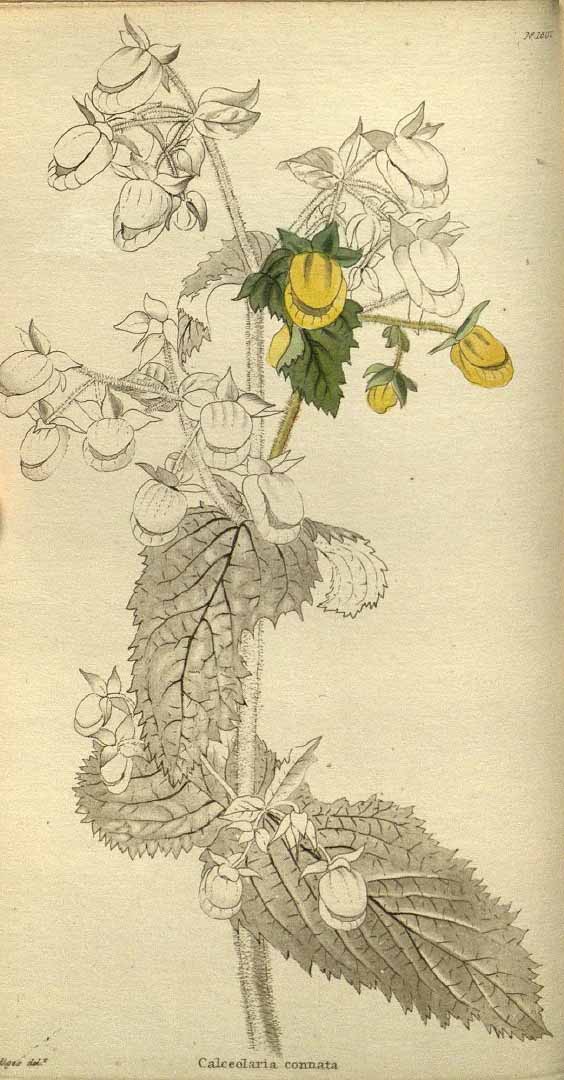 no HD illustration available (3)