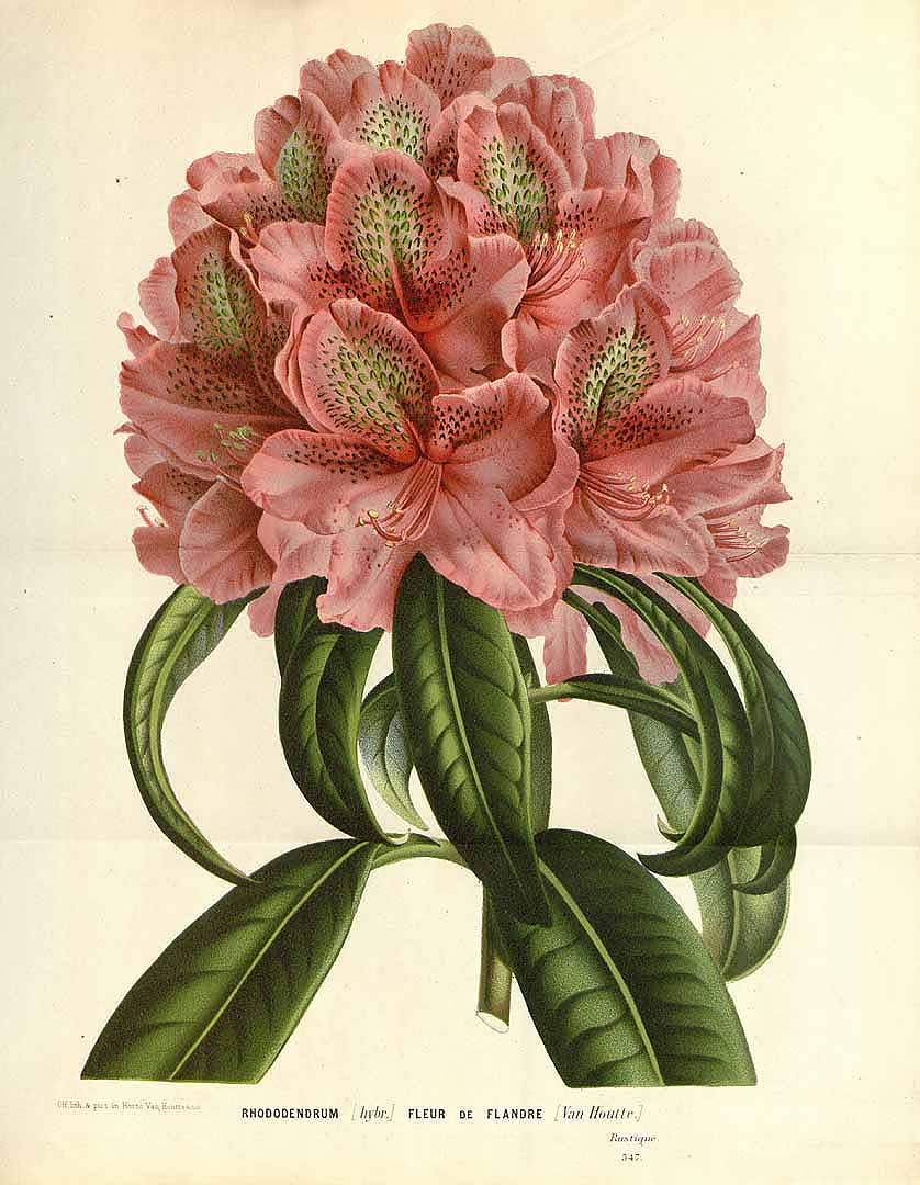 no HD illustration available (3)