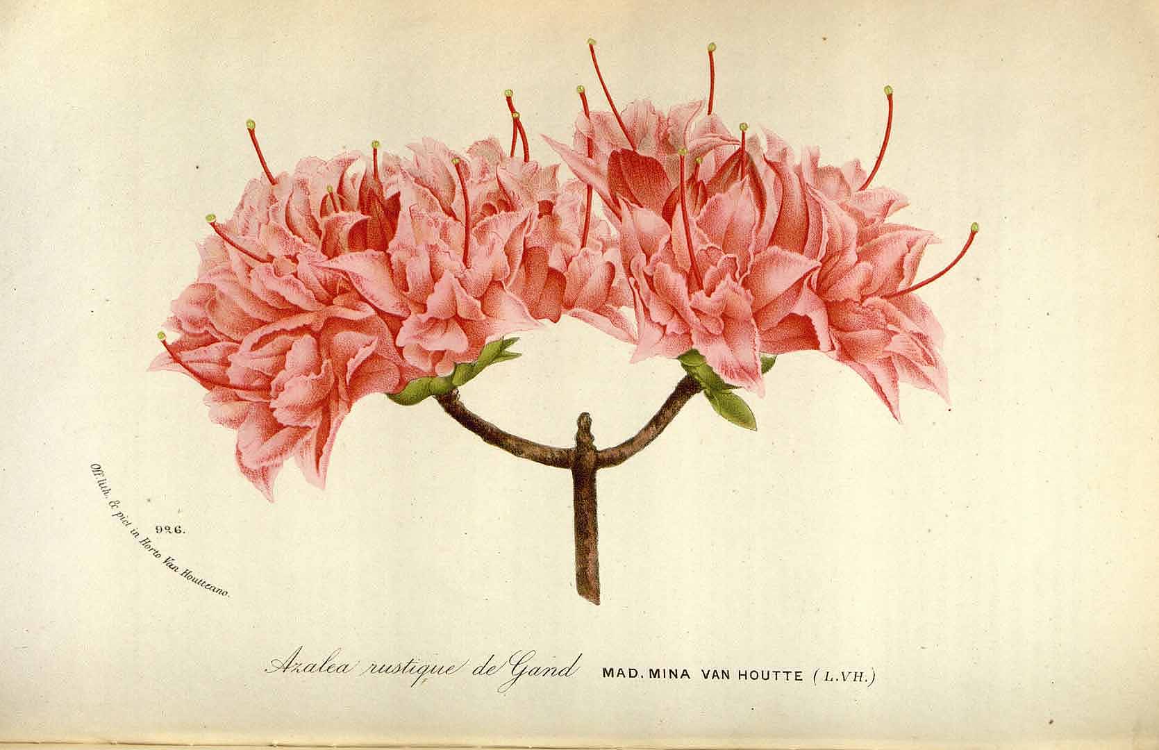 no HD illustration available (3)