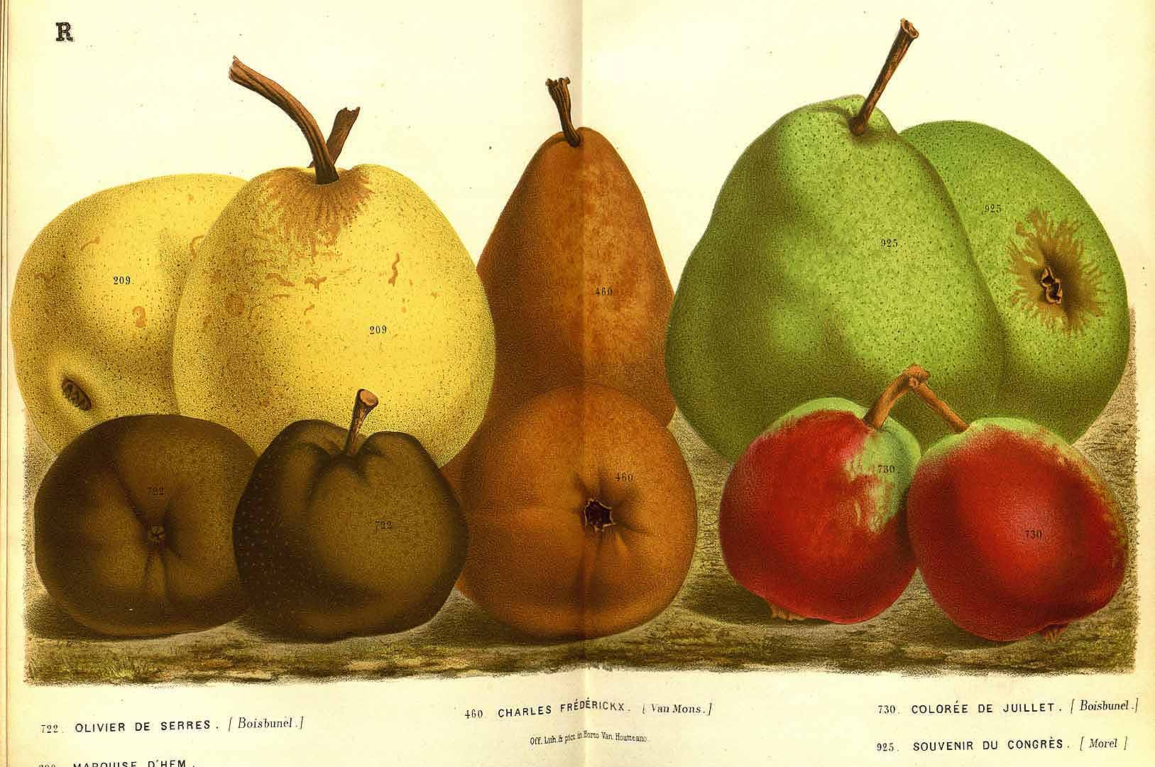 no HD illustration available (3)