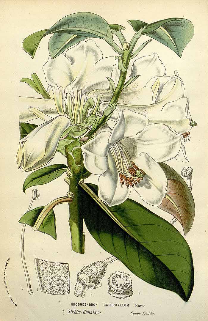 no HD illustration available (3)