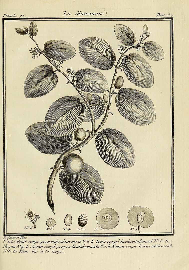 no HD illustration available (3)