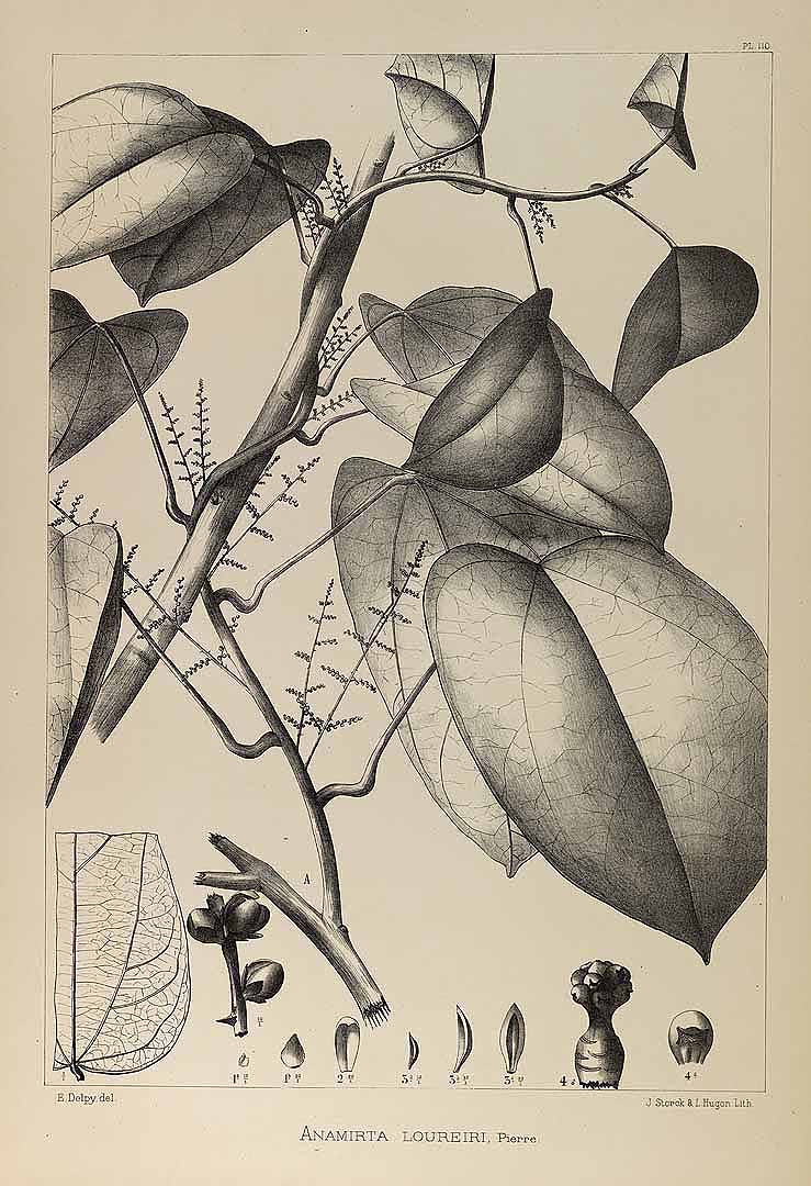 no HD illustration available (3)