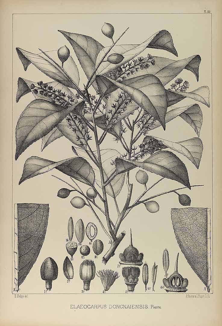 no HD illustration available (3)