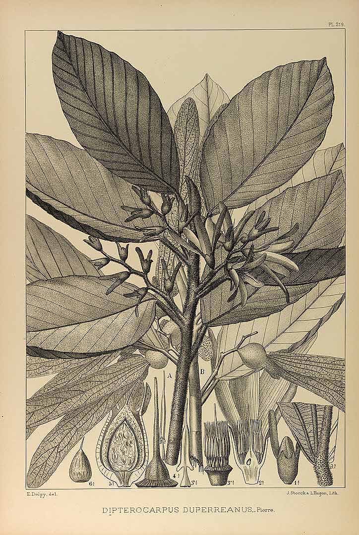 no HD illustration available (3)