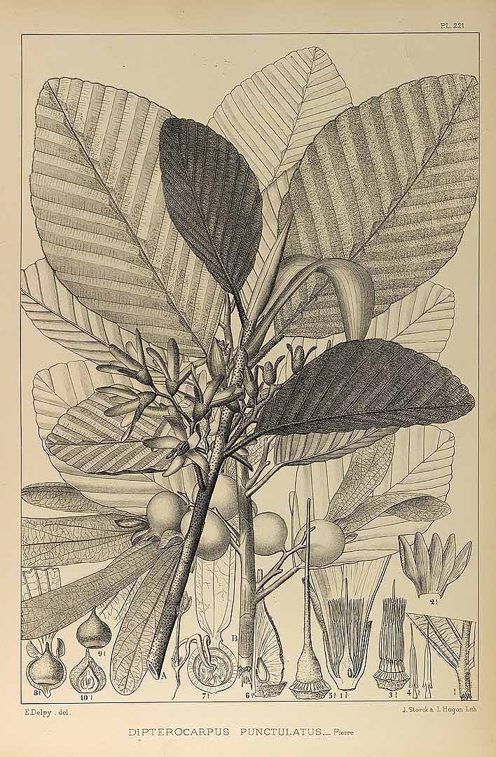 no HD illustration available (3)