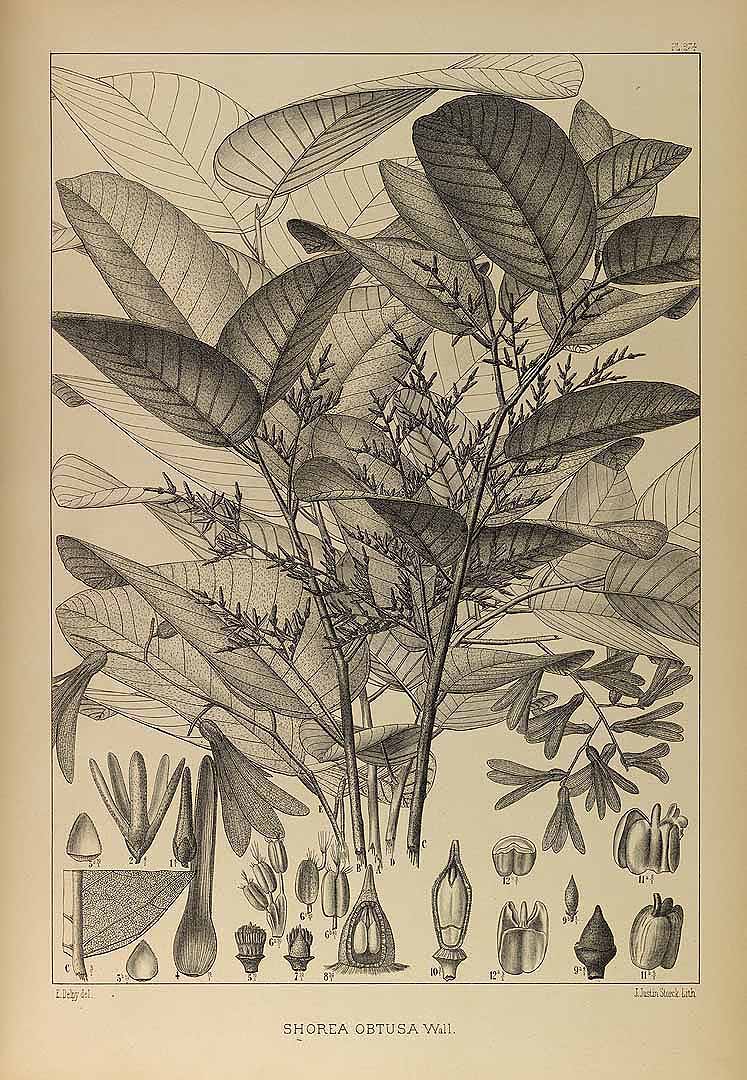 no HD illustration available (3)