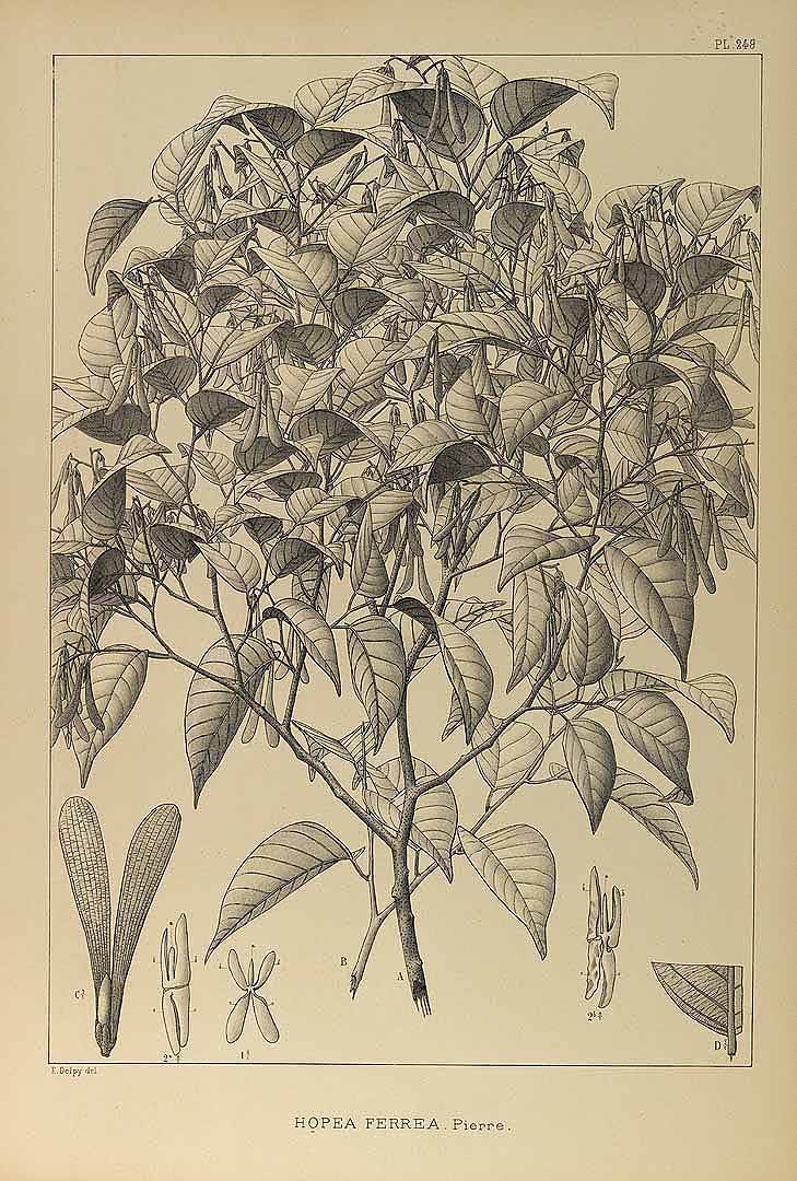 no HD illustration available (3)