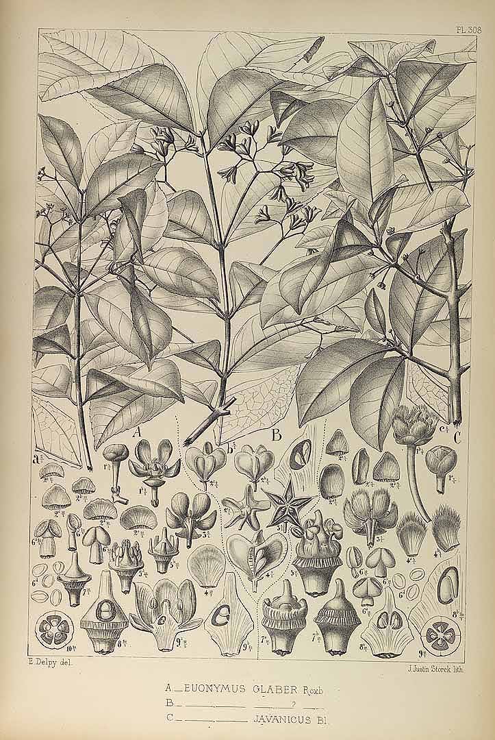 no HD illustration available (3)