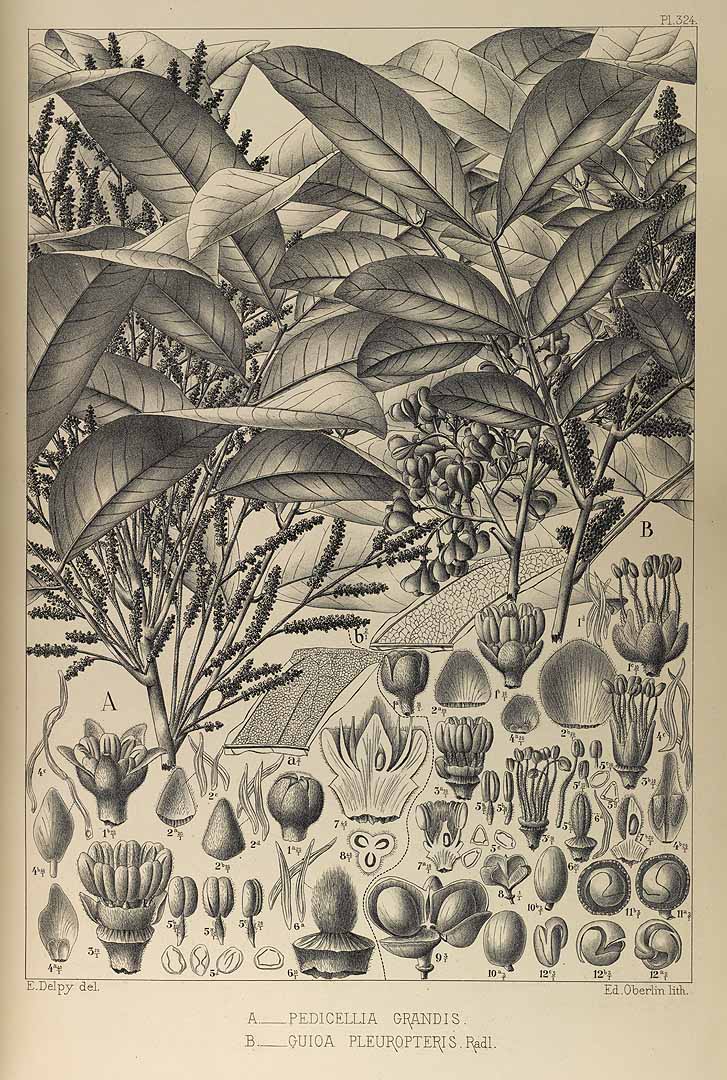 no HD illustration available (3)