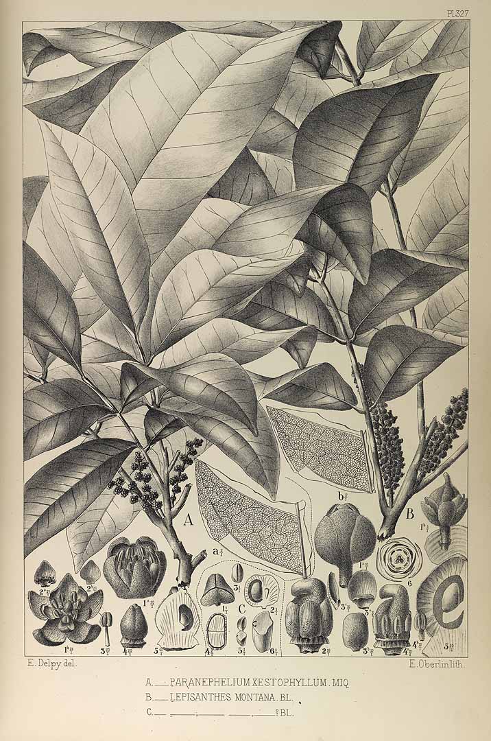 no HD illustration available (3)