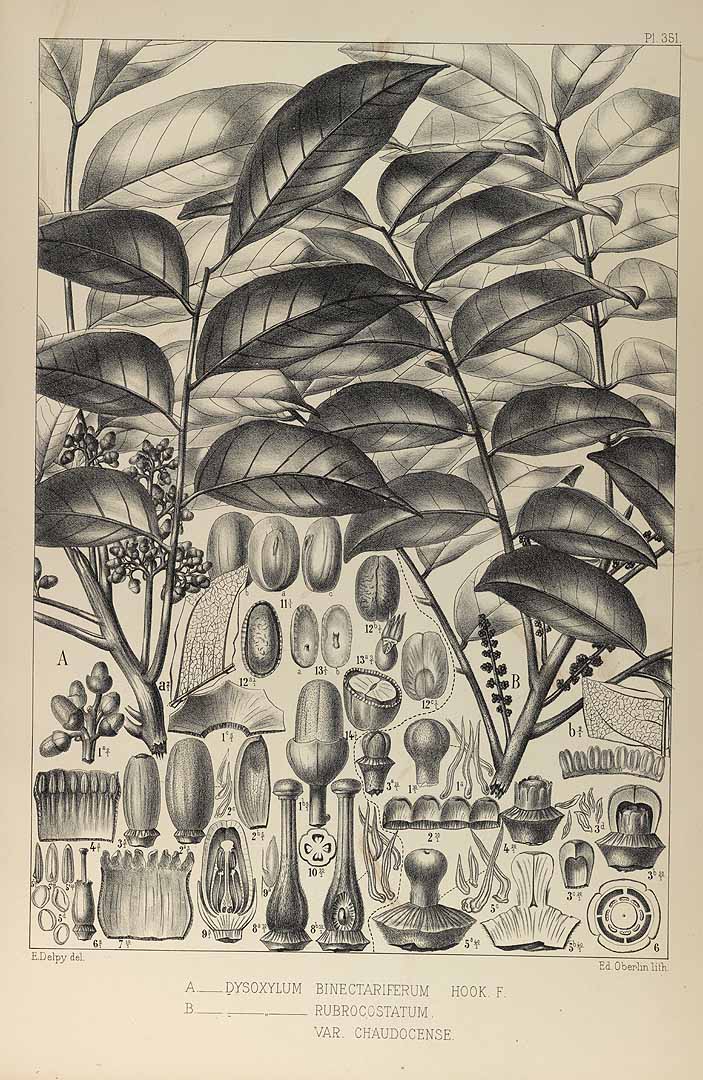 no HD illustration available (3)