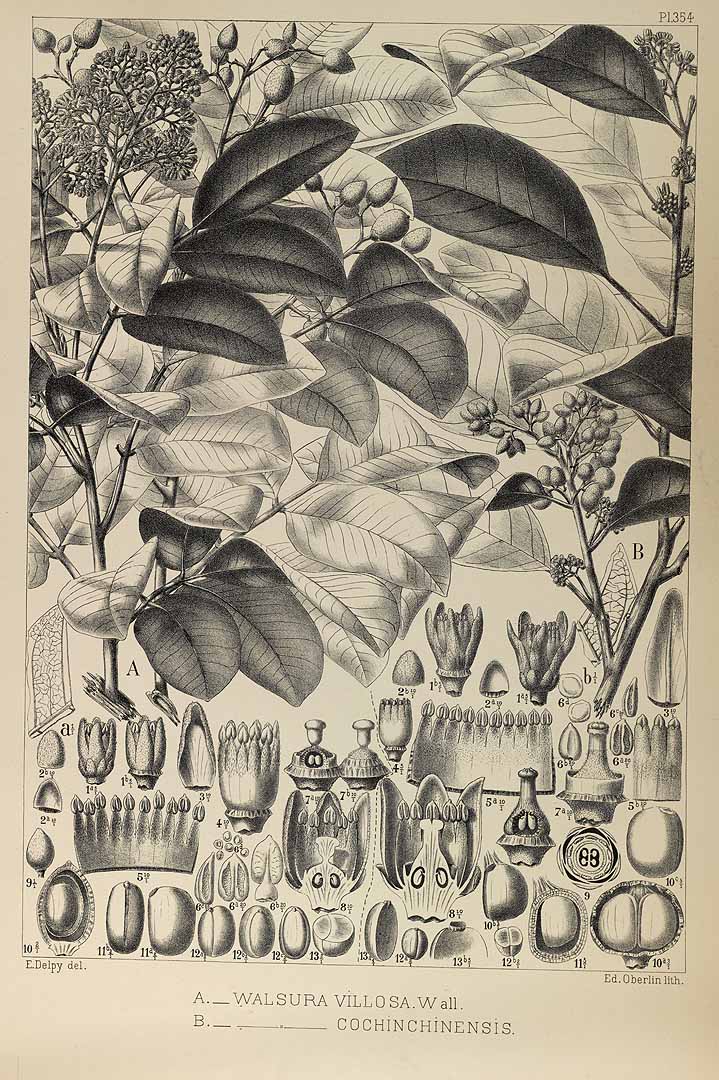 no HD illustration available (3)