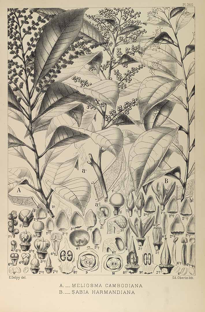 no HD illustration available (3)