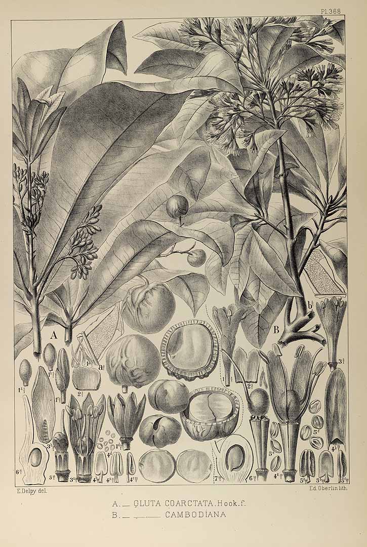 no HD illustration available (3)