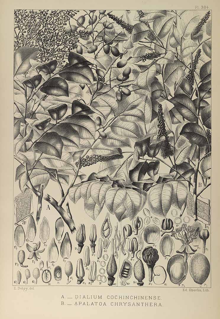 no HD illustration available (3)