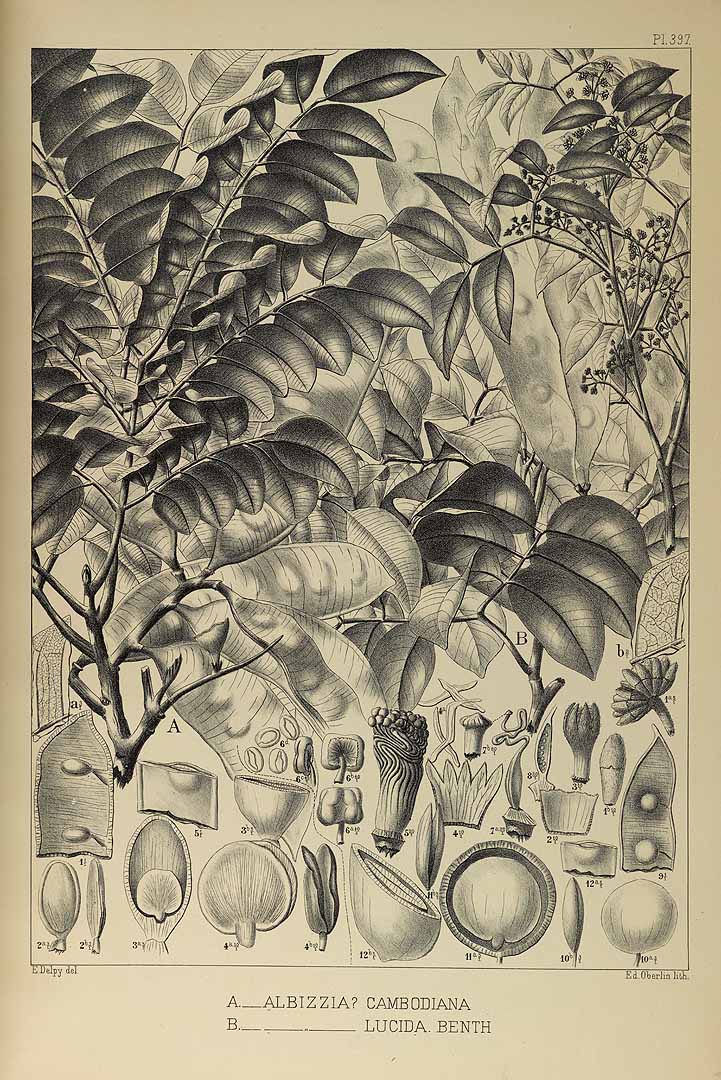 no HD illustration available (3)