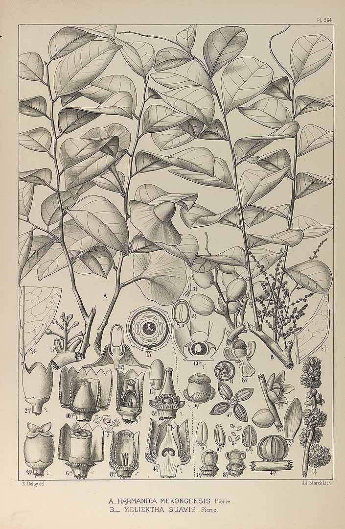 no HD illustration available (3)