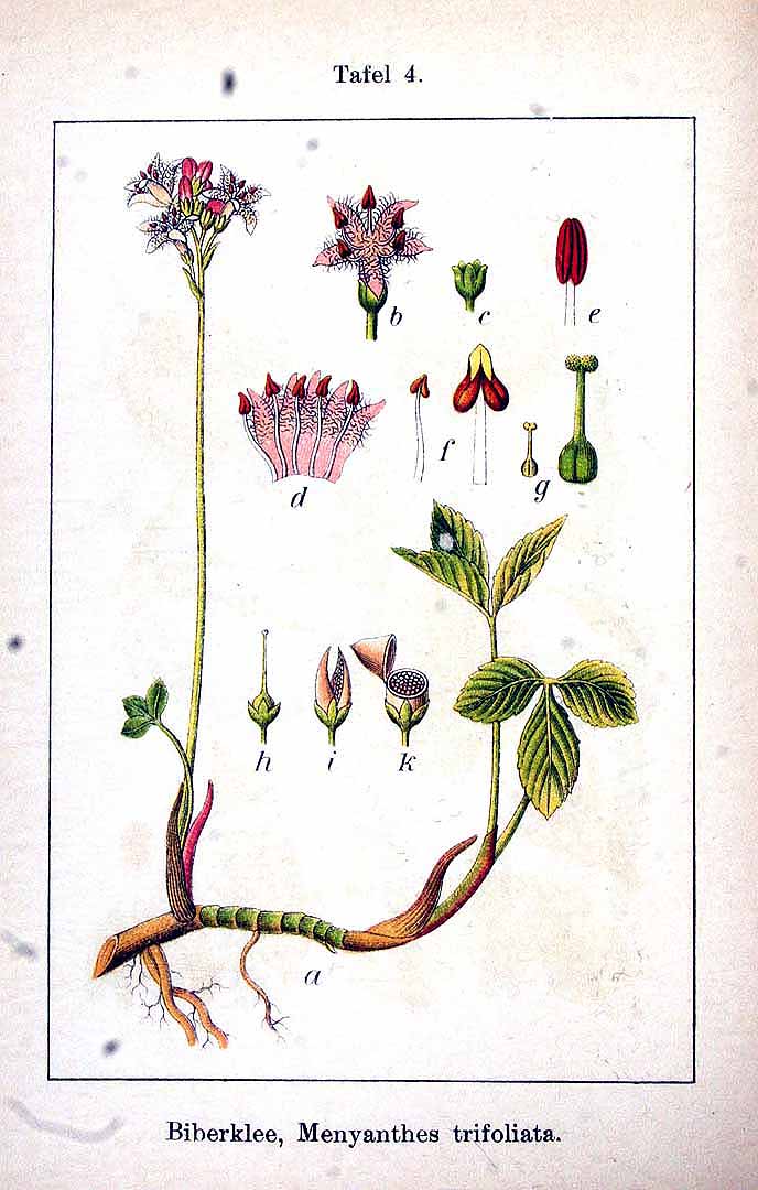 no HD illustration available (3)